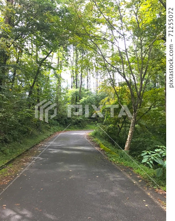 山間小道與美麗的綠化 山間小道與美麗的綠化 71255072