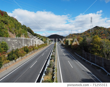 Autumn foliage highway Autumn foliage highway 71255311