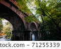 The beginning of autumn leaves 71255339