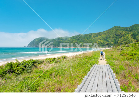 Uradome early summer on the Higashihama coast Uradome early summer on the Higashihama coast 71255546