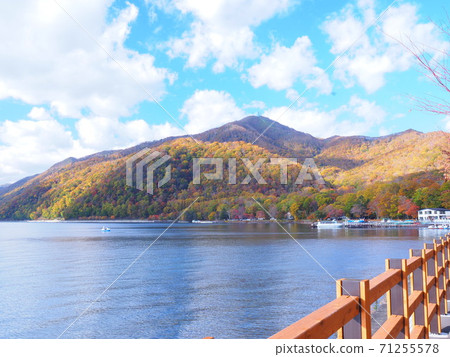 Autumn scenery of Lake Shikotsu, Hokkaido 71255578