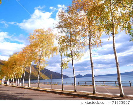Autumn scenery of Lake Shikotsu, Hokkaido Autumn scenery of Lake Shikotsu, Hokkaido 71255907