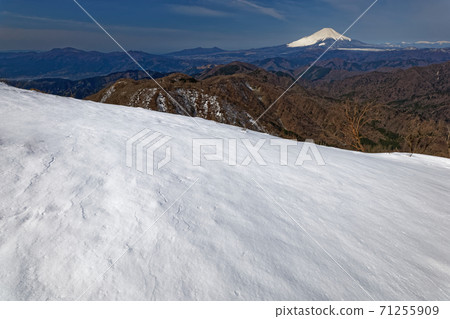 Mt. Fuji seen from the summit of Mt. Tanzawa and Mt. Tono in early spring Mt. Fuji seen from the summit of Mt. Tanzawa and Mt. Tono in early spring 71255909