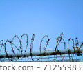 鐵絲網 71255983
