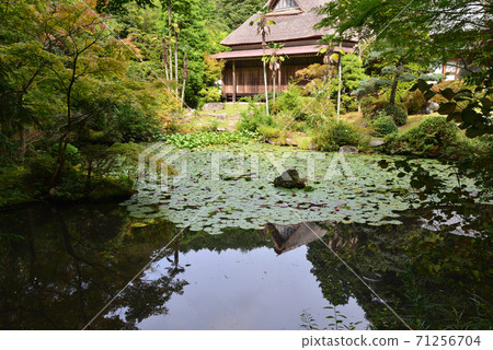 I went to Itajikisandaikakuji Temple # 26 I went to Itajikisandaikakuji Temple # 26 71256704