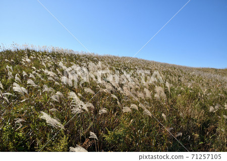 秋天原始的石頭高原 71257105