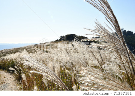 俯瞰葛西的原始石高原 71257191