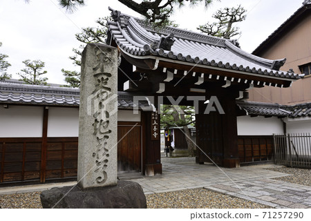 定禪寺櫻花 定禪寺櫻花 71257290