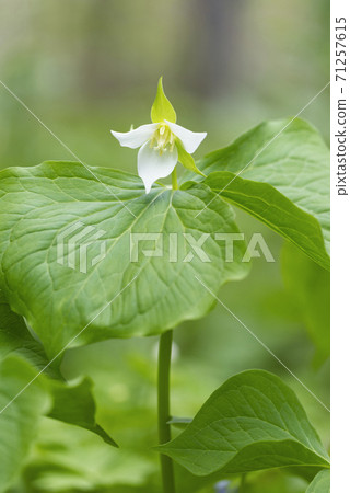 Miyama Enreisou札幌市 Miyama Enreisou札幌市 71257615