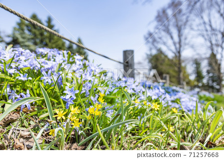 Kibana Amana Yurigahara公園 71257668