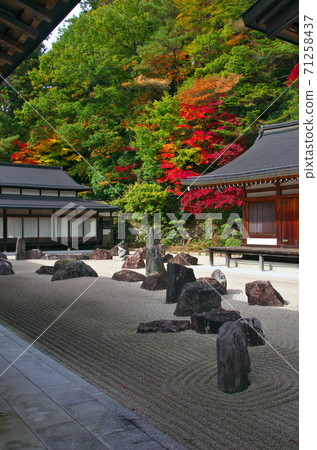 紅山金剛峰寺的秋葉 71258437