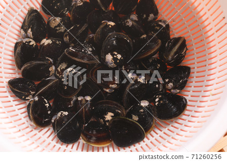 Clam sand removal 71260256