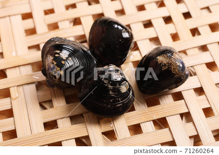 蛤蜊  蛤蜊 71260264