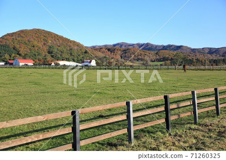 牧場風光(北海道新幹町) 牧場風光(北海道新幹町) 71260325