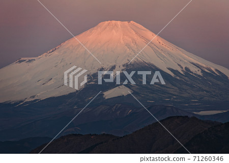 從Sanno塔看到的Tanzawa前山脊·富士山 從Sanno塔看到的Tanzawa前山脊·富士山 71260346
