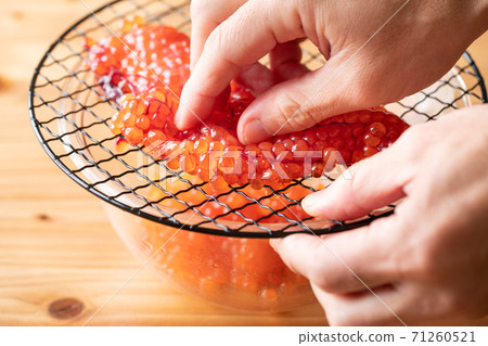 用網子鬆散條紋（北海道的松二子） 71260521