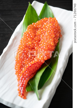 Sujiko from Hokkaido 71260740