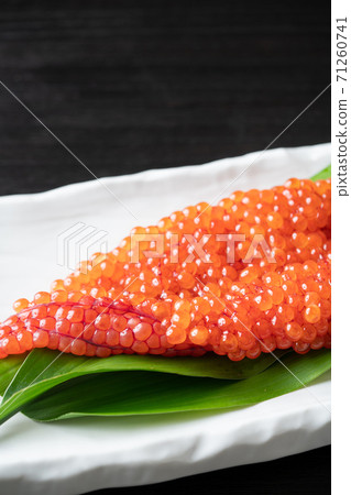 北海道子 71260741