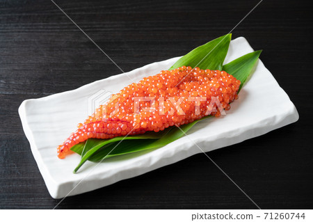 Sujiko from Hokkaido Sujiko from Hokkaido 71260744