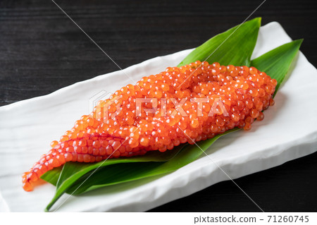 Sujiko from Hokkaido Sujiko from Hokkaido 71260745