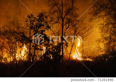forest fire disaster is burning caused by human 71261946