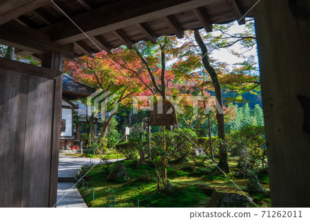 京都Seiya秋葉 京都Seiya秋葉 71262011