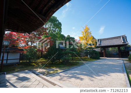 Yonshin-in Gate and Ginkgo Tree in Joshinin, Kyoto 71262213
