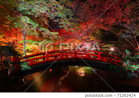 Kyoto Kitano Tenmangu Shrine Autumn leaves of maple 71262424