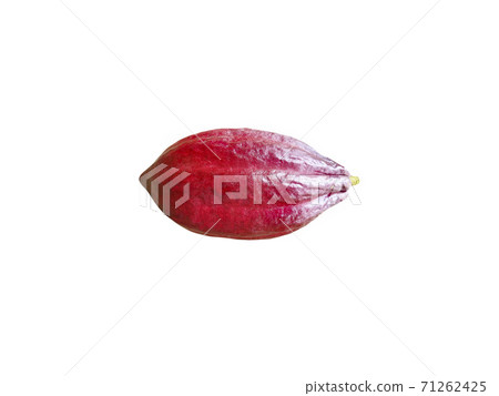 Cocoa pods organic chocolate on white 71262425