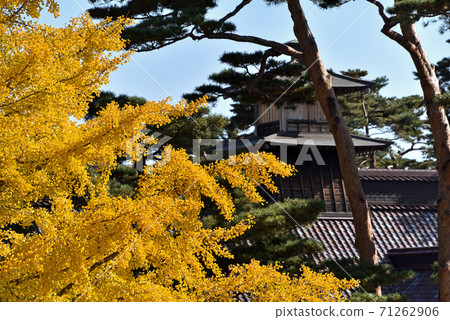 秋天的Goryakaku 71262906