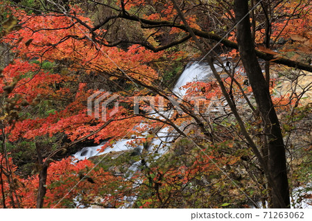 Kirifuri Plateau Tamasudare Falls 71263062