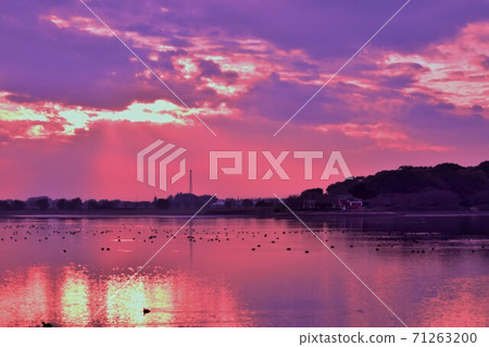 從群馬Tatara-numa看日落的景色 從群馬Tatara-numa看日落的景色 71263200