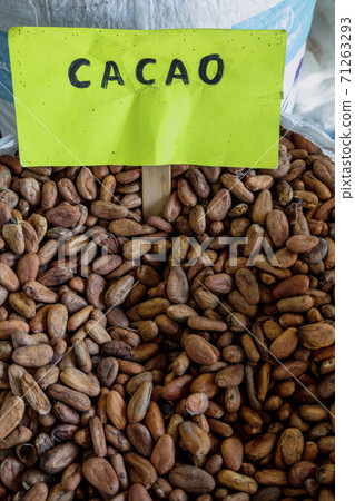 cocao beans in a pile ready for sale cocao beans in a pile ready for sale 71263293