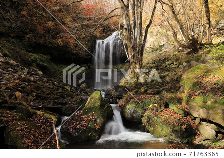 Kirifuri Plateau Makkura Waterfall (Autumn) Kirifuri Plateau Makkura Waterfall (Autumn) 71263365