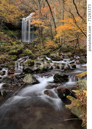 Kirifuri Plateau Makkura Waterfall (Autumn) Kirifuri Plateau Makkura Waterfall (Autumn) 71263373