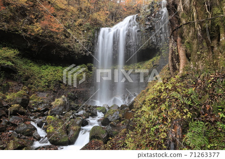 Kirifuri Plateau Makkura Waterfall (Autumn) Kirifuri Plateau Makkura Waterfall (Autumn) 71263377
