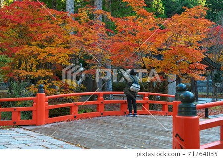 Koyasan Oku-no-in, autumn leaves around Heiwabashi, one woman on the bridge, Koyasan, Wakayama Prefecture 71264035