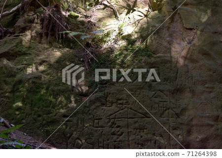 <神奈川縣>堡壘的壁面保留在東京灣的無人島“ Sarushima”上 71264398