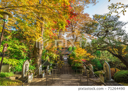 Kozenji Temple, Kiso Fukushima, Nagano Prefecture 71264490