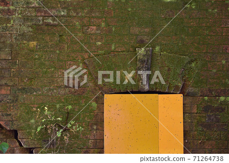 <Kanagawa> The remains of a fortress such as an explosives storage on the uninhabited island "Sarushima" in Tokyo Bay <Kanagawa> The remains of a fortress such as an explosives storage on the uninhabited island "Sarushima" in Tokyo Bay 71264738