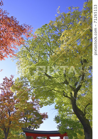 深穀神社(松本市) 深穀神社(松本市) 71265113