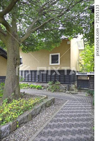 Shinshu Kobuse（小板栗直徑） 71265133