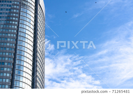 Skyscraper and blue sky Skyscraper and blue sky 71265481