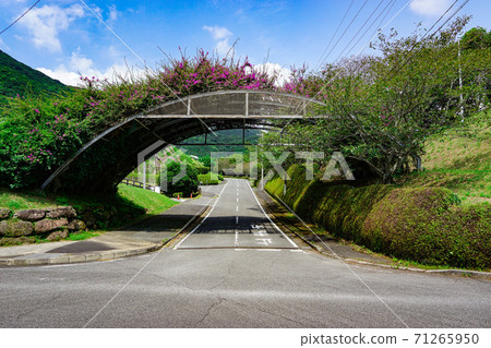 Takataro Park in Bonotsu Town, Kagoshima Prefecture. Takataro Park in Bonotsu Town, Kagoshima Prefecture. 71265950
