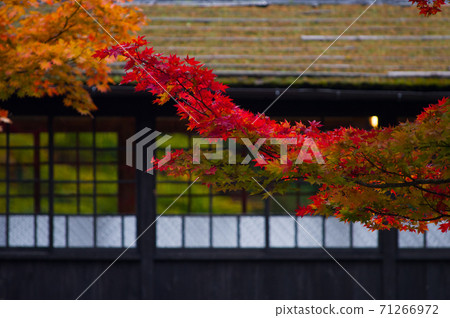 Autumn hot spring inn 71266972