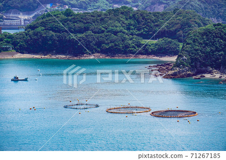 Photo taken from Marukizaki Observatory, Kagoshima Prefecture. Photo taken from Marukizaki Observatory, Kagoshima Prefecture. 71267185