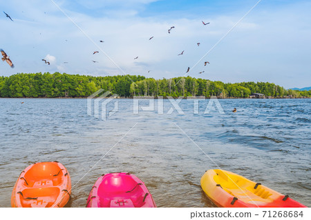 Beautiful scenery of the red hawks while flying to find food with kayaks floating in the sea at Bang Chan village (The No-Land Village) in Chanthaburi, Thailand Beautiful scenery of the red hawks while flying to find food with kayaks floating in the sea at Bang Chan village (The No-Land Village) in Chanthaburi, Thailand 71268684
