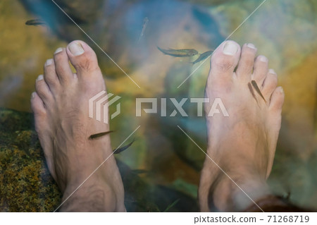 Young man having Antimony fish spa therapy and foot massage in waterfall. Young man having Antimony fish spa therapy and foot massage in waterfall. 71268719