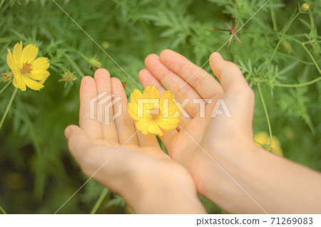 包裹著Kibana宇宙的手 71269083