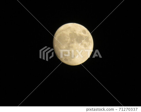 Mon-13th night 71270337